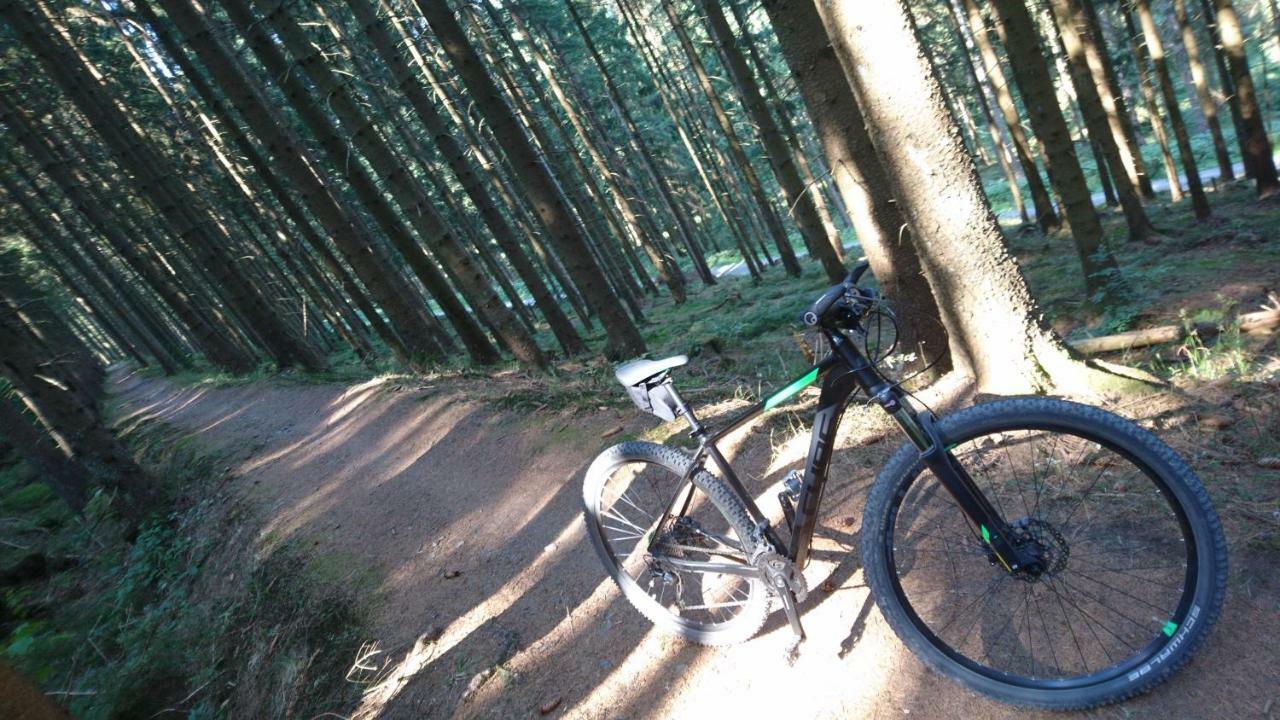 H@Rz4U Lägenhet Clausthal-Zellerfeld Exteriör bild