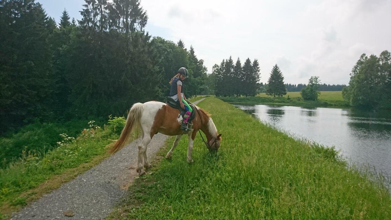 H@Rz4U Lägenhet Clausthal-Zellerfeld Exteriör bild