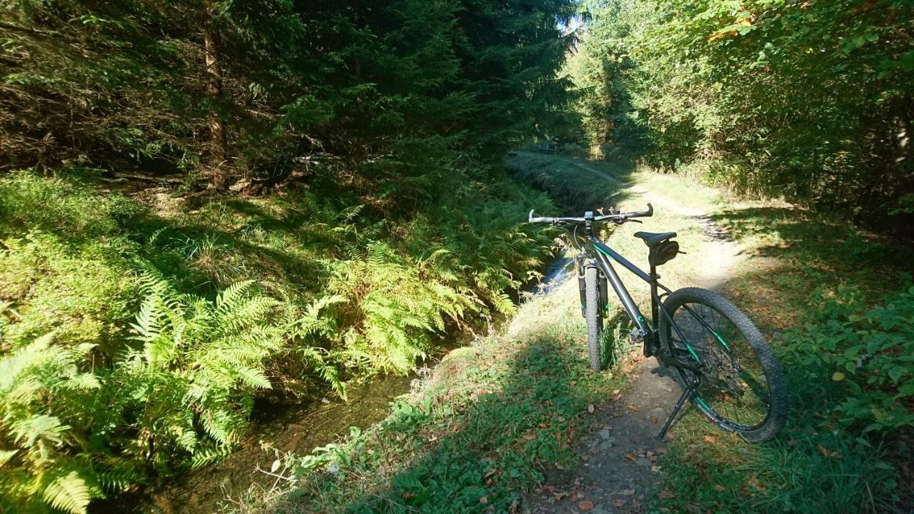 H@Rz4U Lägenhet Clausthal-Zellerfeld Exteriör bild